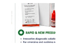 Rapid & New Products